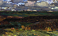 Kherson Fields