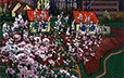 New Town