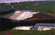 Poultry Farm of the Illich Collective Farm